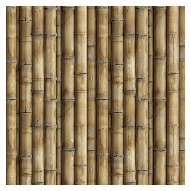 Pattern Library - Seamless Bamboo Textures