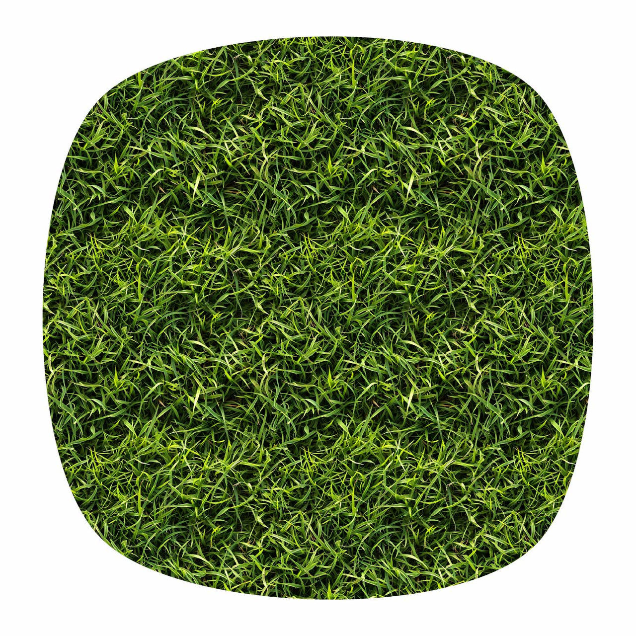 Pattern Library - Seamless Grass Textures – Post Digital Architecture