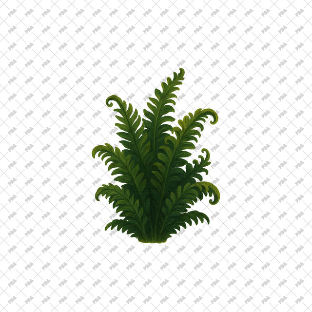 PNG Cutout Plants and Trees - Post Digital Architecture — Free and Affordable Resources for Architects