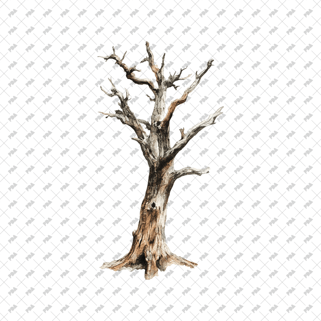 PNG Watercolor Dead Trees for Architectural Drawings