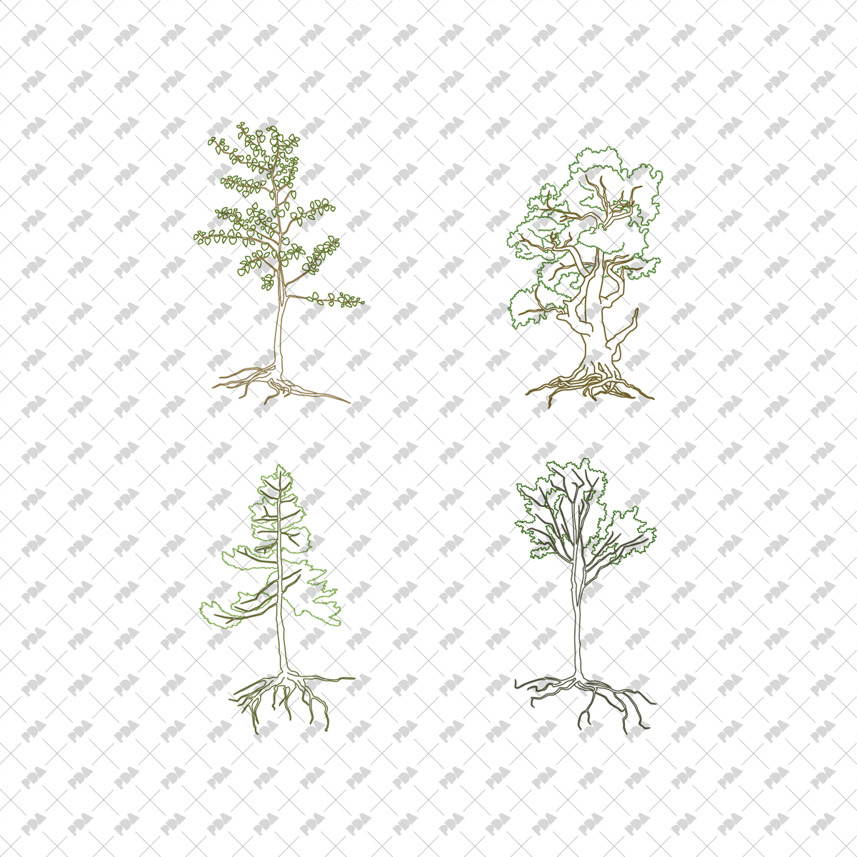 Tree Roots Vector Plan View CAD, Vector Trees with Roots in Color and B/W