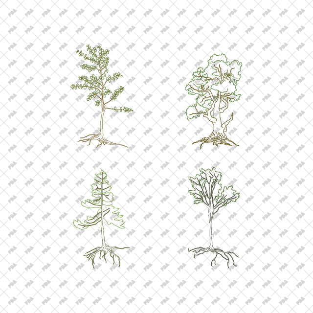 CAD, Vector Trees with Roots in Color and B/W - Post Digital Architecture — Free and Affordable Resources for Architects