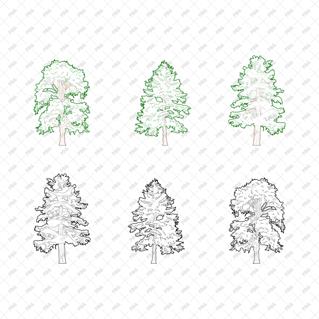 CAD, Vector, PNG Winter Trees in Color and B/W - Post Digital Architecture — Free and Affordable Resources for Architects