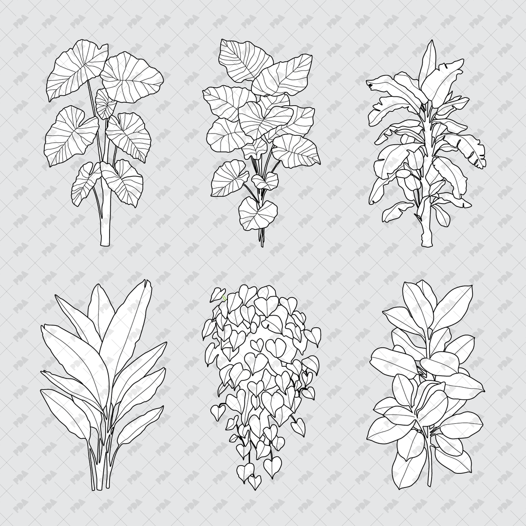CAD, Vector, PNG Plants in Color and B/W