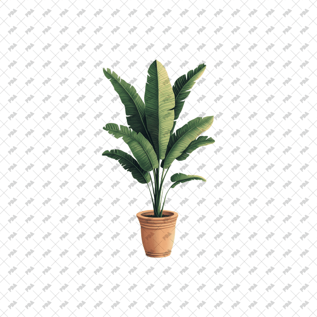 PNG Plants in Planters - Post Digital Architecture — Free and Affordable Resources for Architects