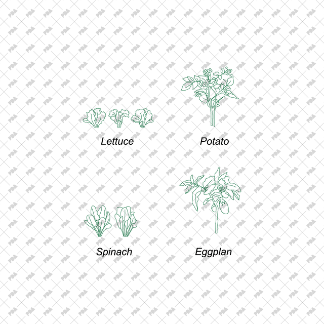 CAD Vector Vegetable Plants Multi-Pack - Post Digital Architecture — Free and Affordable Resources for Architects