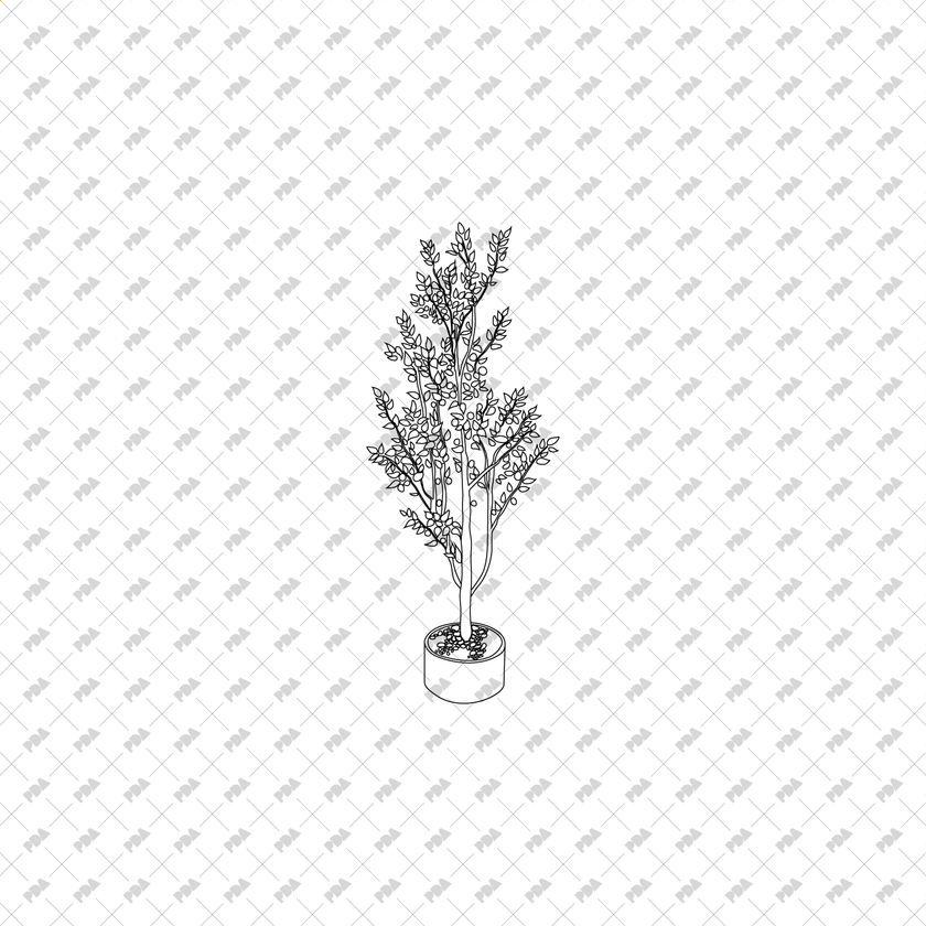 Planter Tree Pattern CAD, Vector, PNG Isometric Trees in Planters