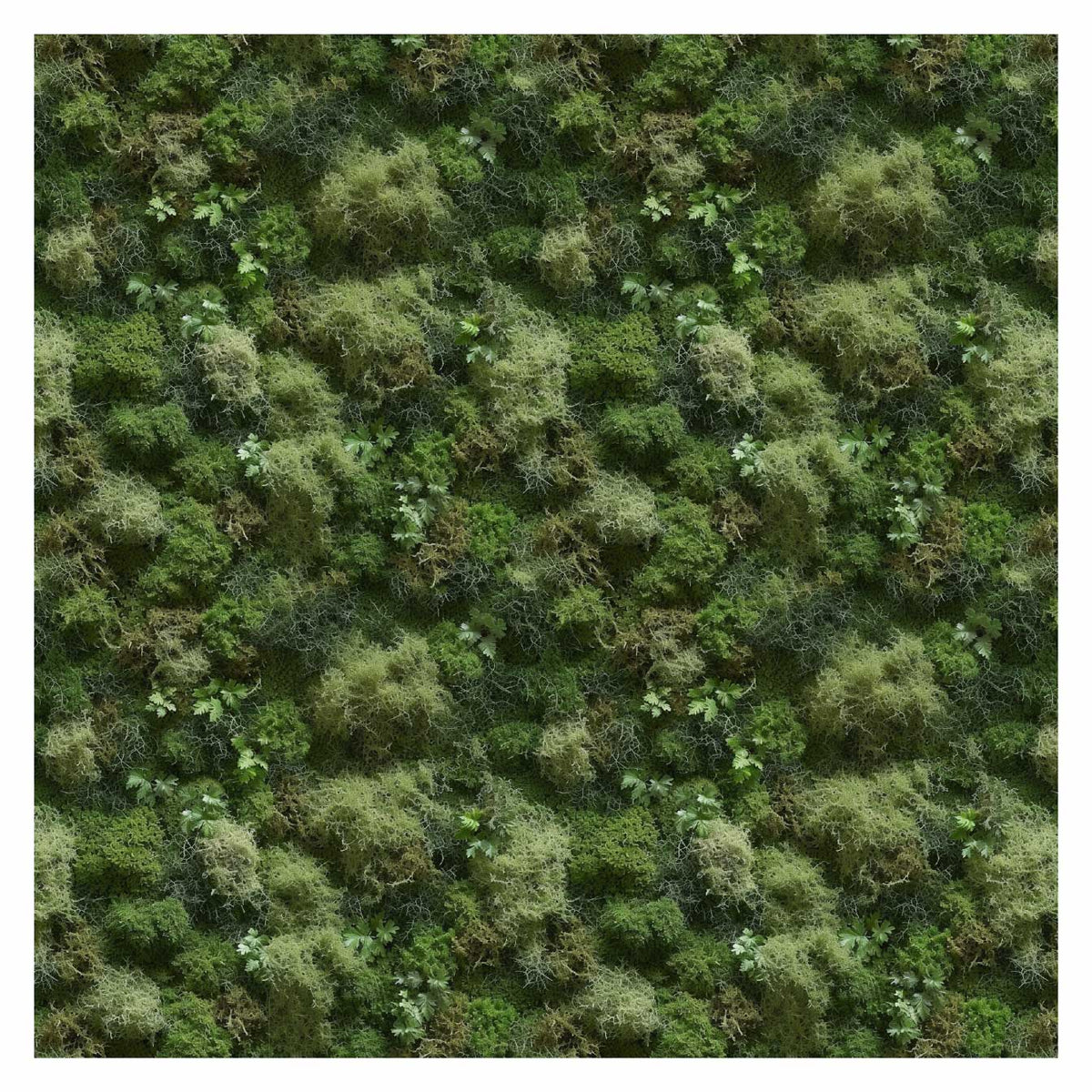 Pattern Library - Seamless Moss Textures