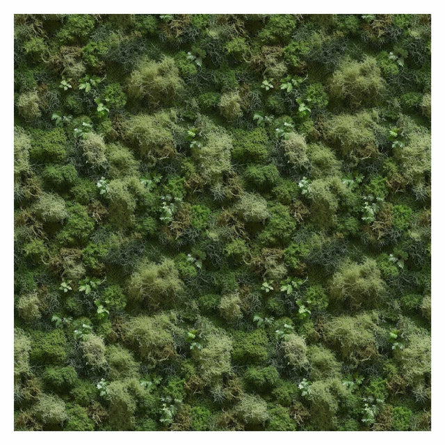 Pattern Library - Seamless Moss Textures - Post Digital Architecture — Free and Affordable Resources for Architects
