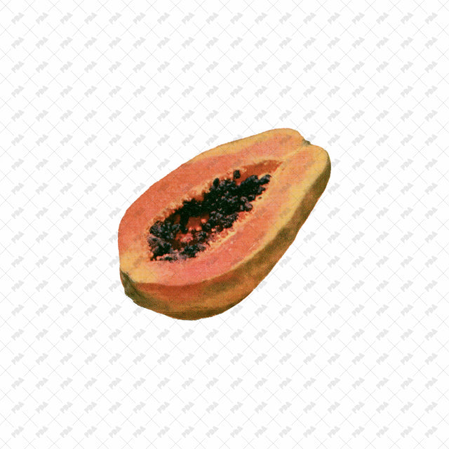 PNG Post Digital Collage Fruit Cutouts - Post Digital Architecture — Free and Affordable Resources for Architects