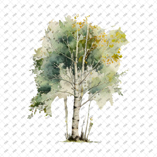 PNG Watercolor Trees and Plants Set (Front view)