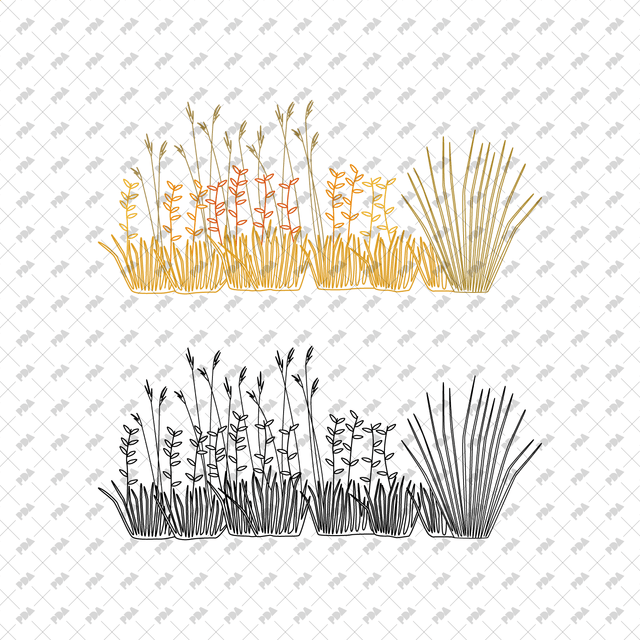 CAD, Vector Grass Beds in Color and B/W - Post Digital Architecture — Free and Affordable Resources for Architects