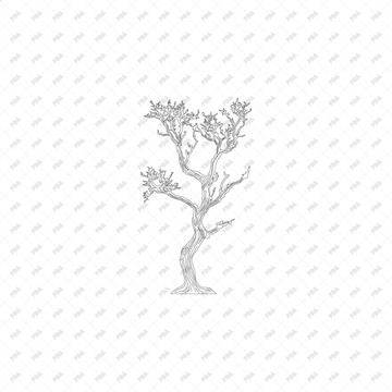 CAD & Vector Tree Illustrations for Architectural Drawings