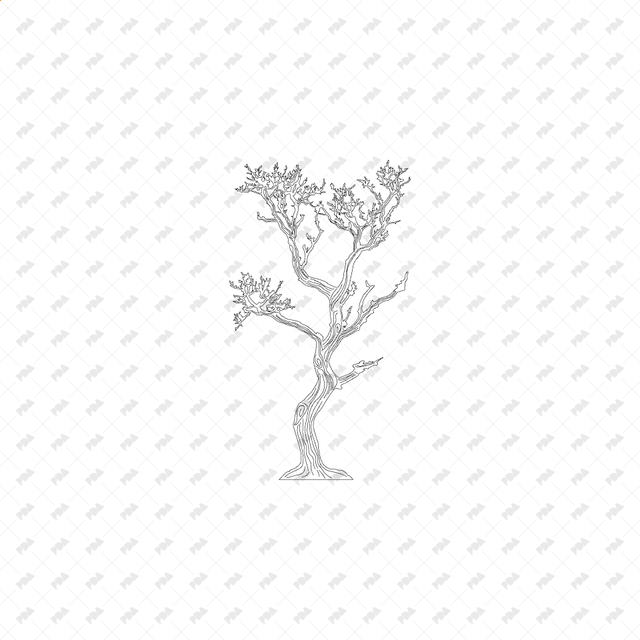 CAD, Vector, PNG Trees - Post Digital Architecture — Free and Affordable Resources for Architects