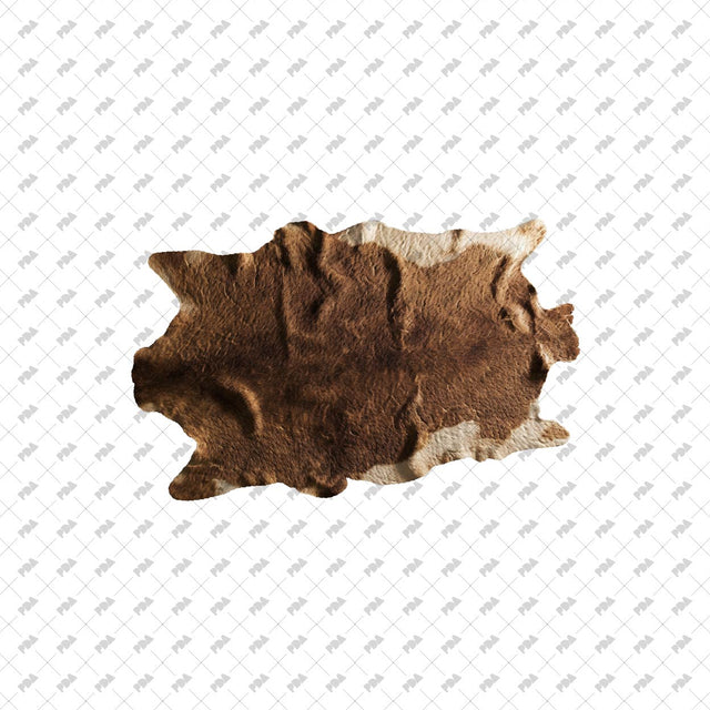 PNG Fake Animal Skin Carpets and Rugs Set - Post Digital Architecture — Free and Affordable Resources for Architects