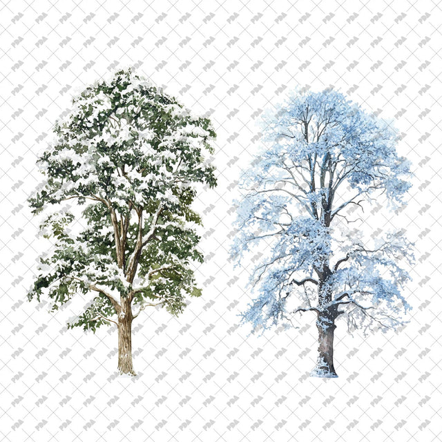 PNG Winter Trees - Post Digital Architecture — Free and Affordable Resources for Architects