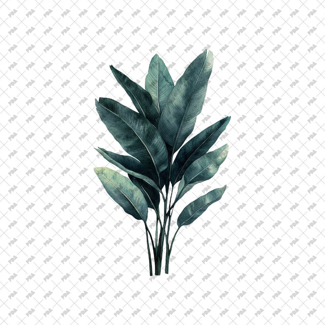 PNG Watercolor Plants - Post Digital Architecture — Free and Affordable Resources for Architects