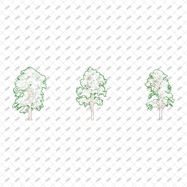 CAD, Vector, PNG Winter Trees in Color and B/W - Post Digital Architecture — Free and Affordable Resources for Architects