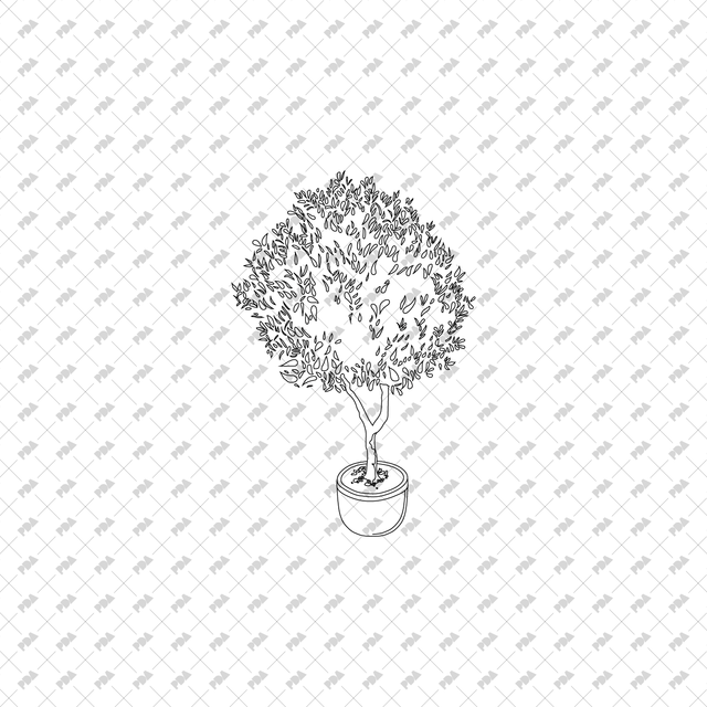 CAD, Vector, PNG Isometric Trees in Planters - Post Digital Architecture — Free and Affordable Resources for Architects