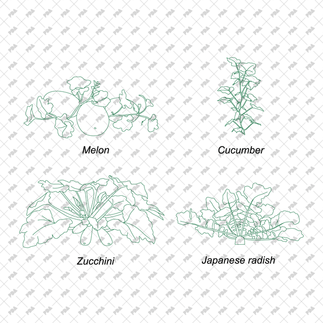 CAD Vector Vegetable Plants Multi-Pack - Post Digital Architecture — Free and Affordable Resources for Architects