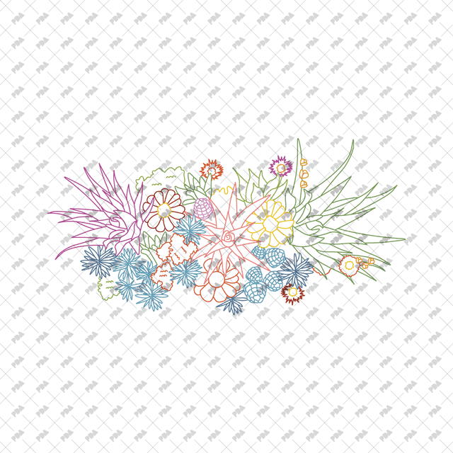 CAD, Vector, PNG Succulent and Cactus Landscapes in Top View in Color and B/W - Post Digital Architecture — Free and Affordable Resources for Architects