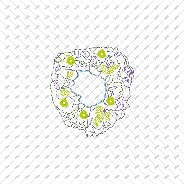 CAD, Vector, PNG Ponds Landscapes in Top View in Color and B/W - Post Digital Architecture — Free and Affordable Resources for Architects