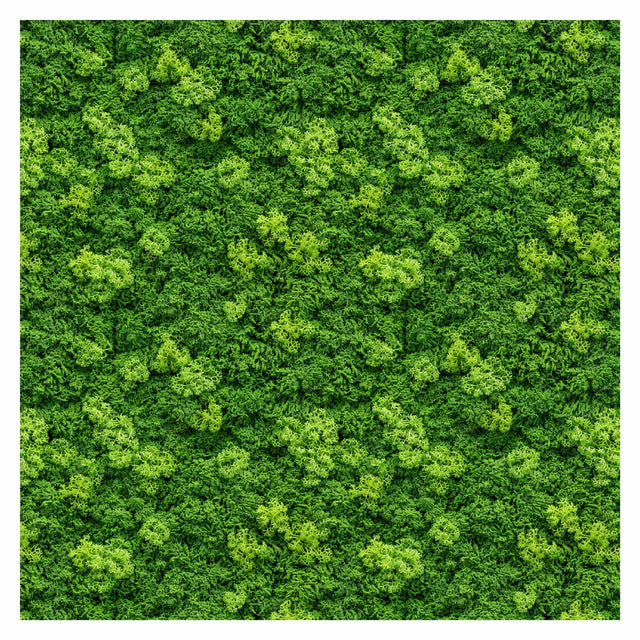 Pattern Library - Seamless Moss Textures - Post Digital Architecture — Free and Affordable Resources for Architects