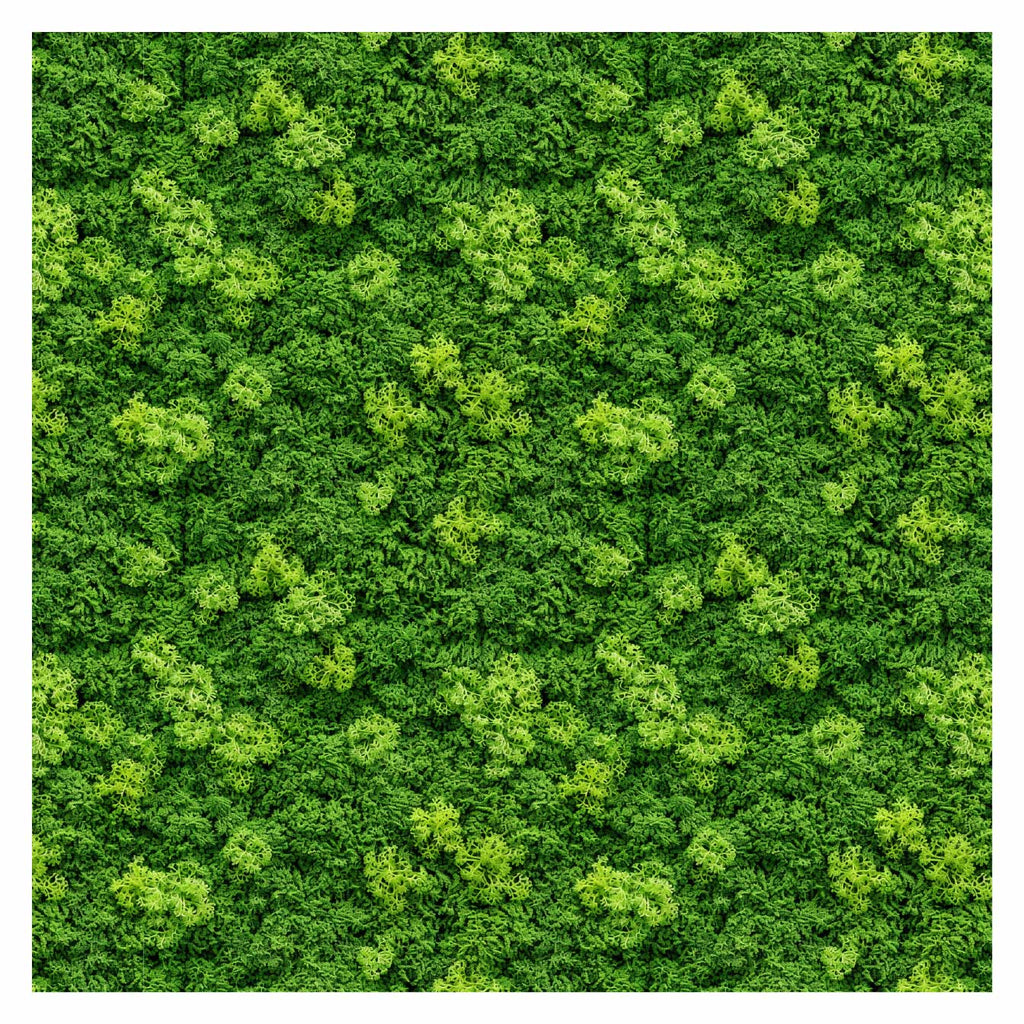 Pattern Library Seamless Moss Textures Post Digital Architecture pattern-library-seamless-moss-textures-post-digital-architecture