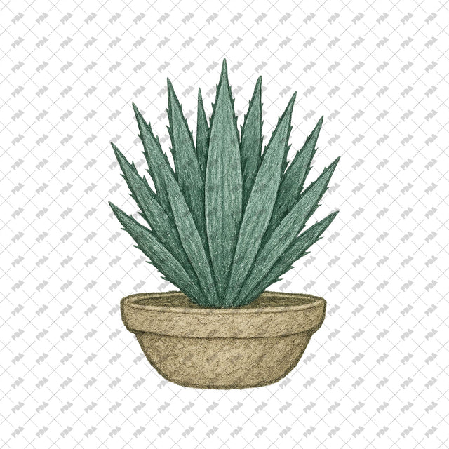 PNG Rough Hand-Drawn Plant Cutouts - Post Digital Architecture — Free and Affordable Resources for Architects