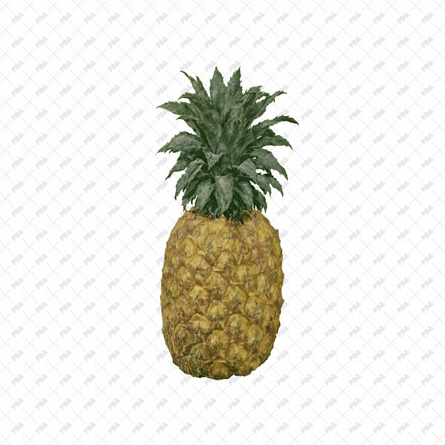 PNG Post Digital Collage Fruit Cutouts - Post Digital Architecture — Free and Affordable Resources for Architects