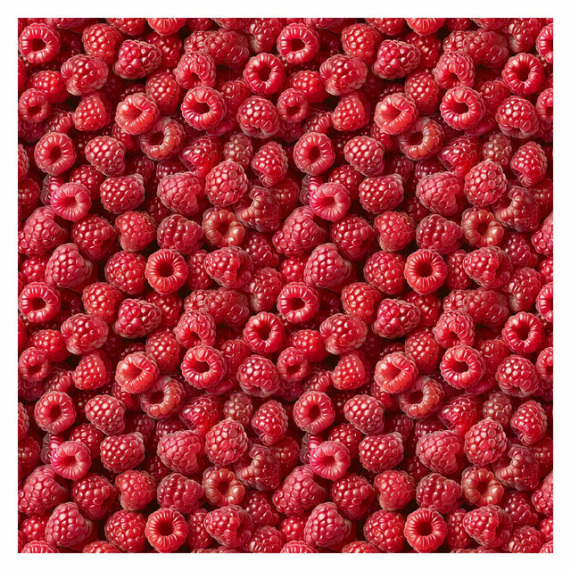 Pattern Library - Berries Textures (In top view)