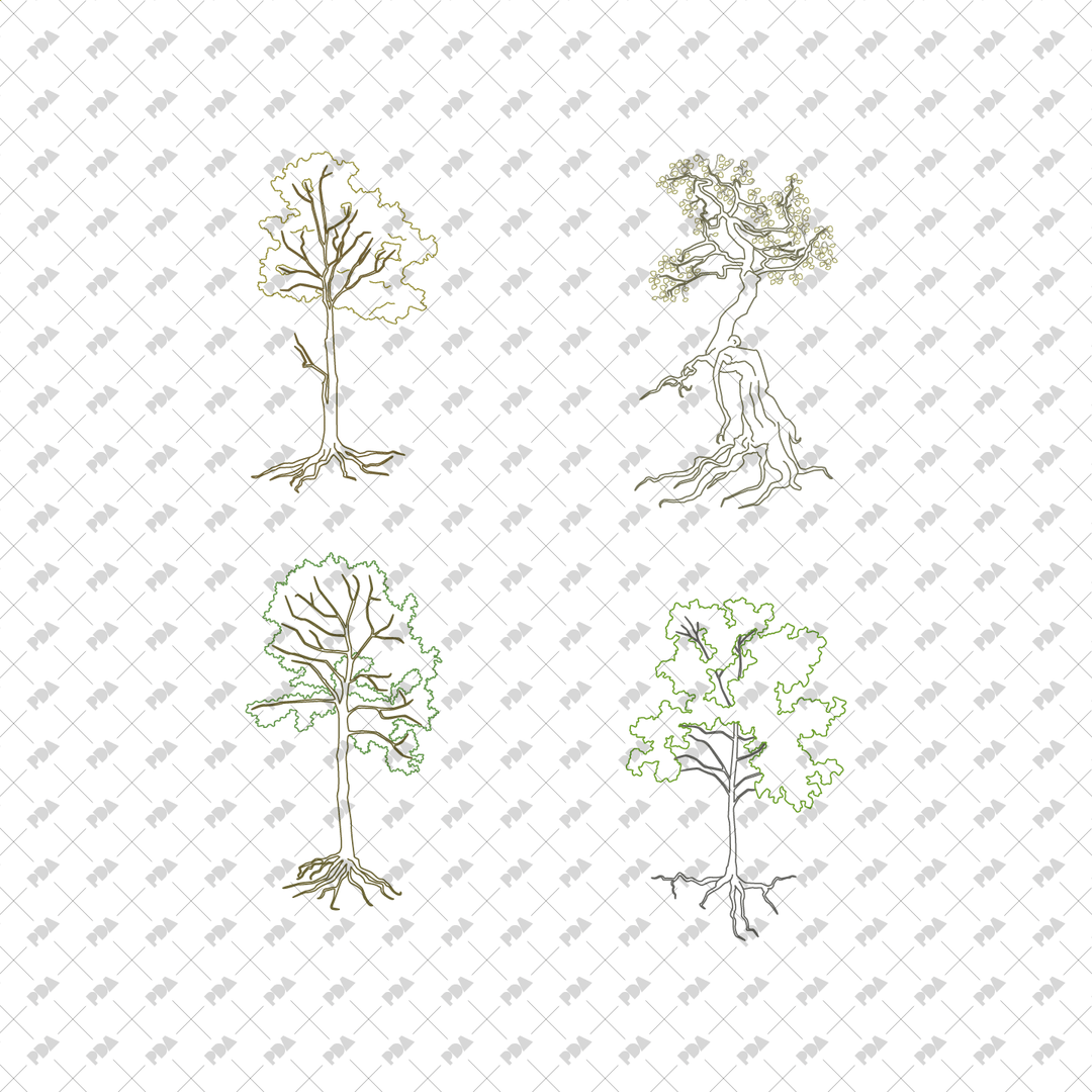 Tree Roots Vector Plan View CAD, Vector Trees with Roots in Color and B/W