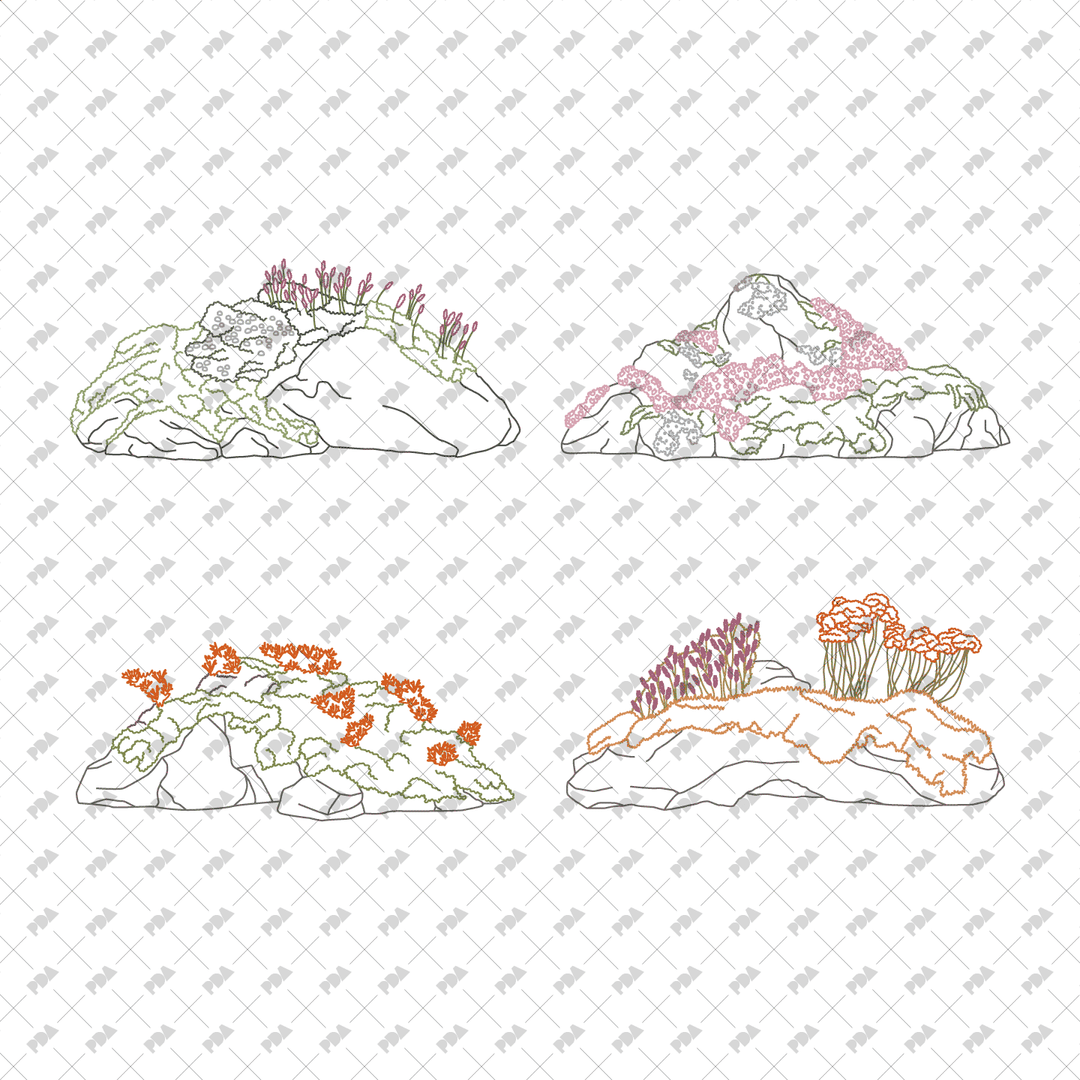 CAD, Vector, PNG Rockscapes in Color and B/W
