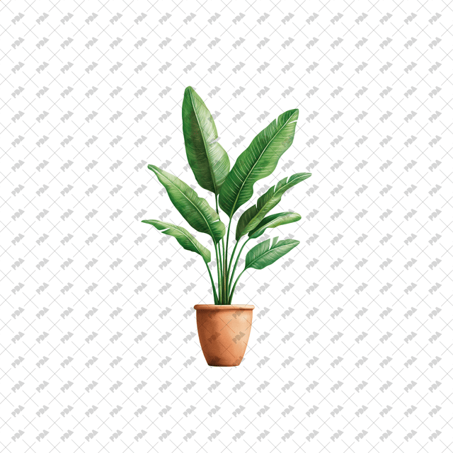 PNG Plants in Planters - Post Digital Architecture — Free and Affordable Resources for Architects