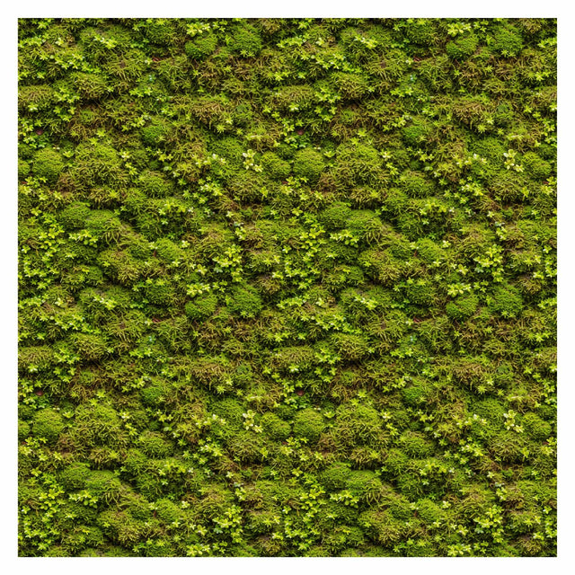 Pattern Library - Seamless Moss Textures - Post Digital Architecture — Free and Affordable Resources for Architects