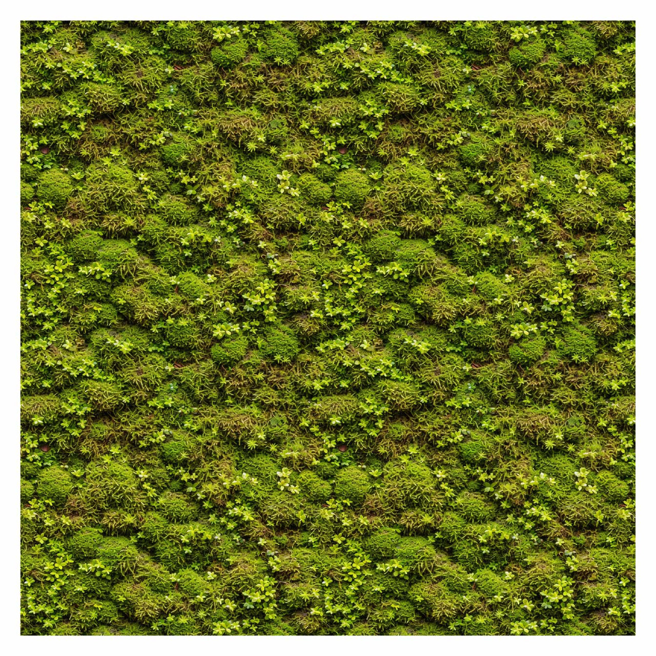 Pattern Library - Seamless Moss Textures
