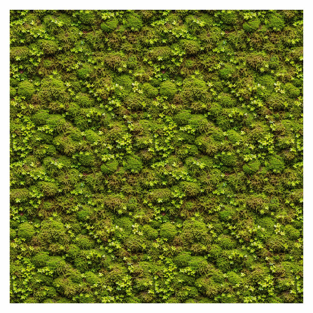 Pattern Library - Seamless Moss Textures