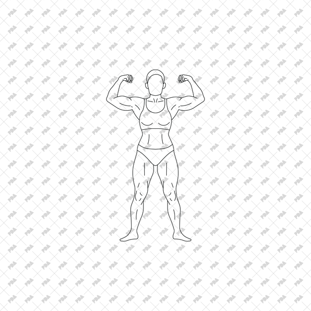 CAD Vector PNG Bodybuilders - Post Digital Architecture — Free and Affordable Resources for Architects