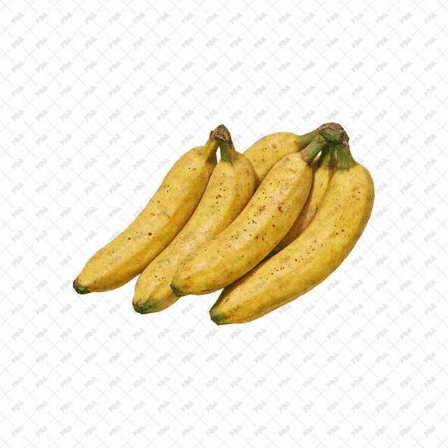 PNG Post Digital Collage Fruit Cutouts - Post Digital Architecture — Free and Affordable Resources for Architects