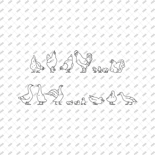 Animal Cad Pattern CAD Vector Farm Animals Set for Architectural Drawings
