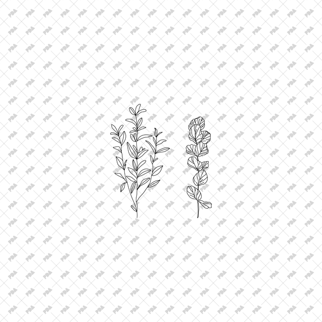 CAD, Vector Trees and Plants in Top and Side View Set