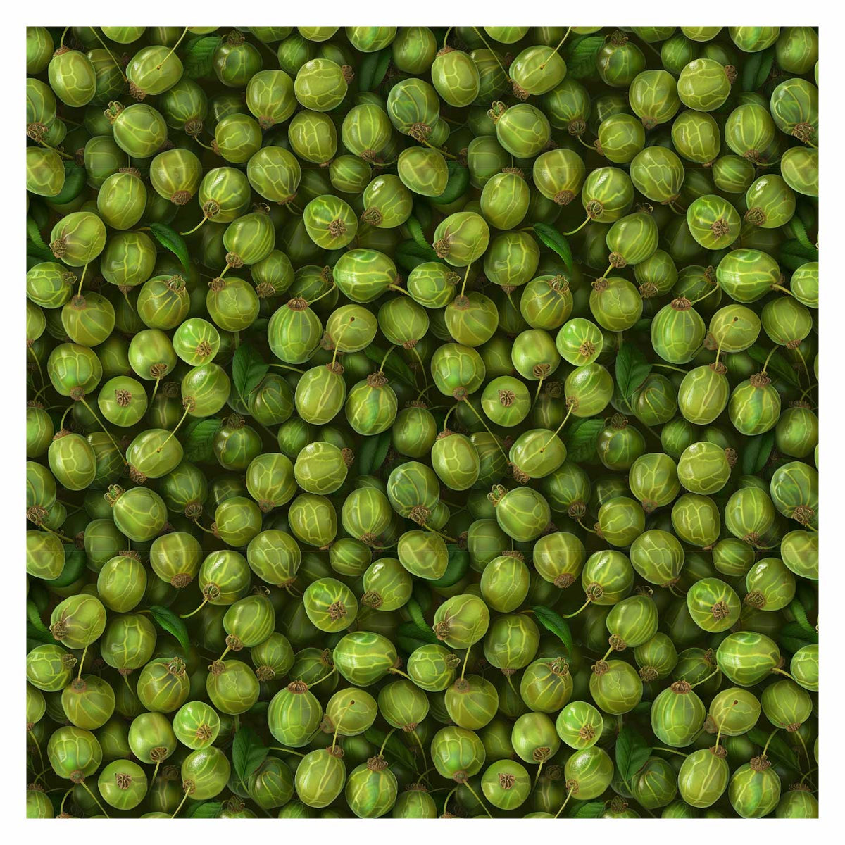 Berry Texture Vector Pattern Library - Berries Textures (In top view)