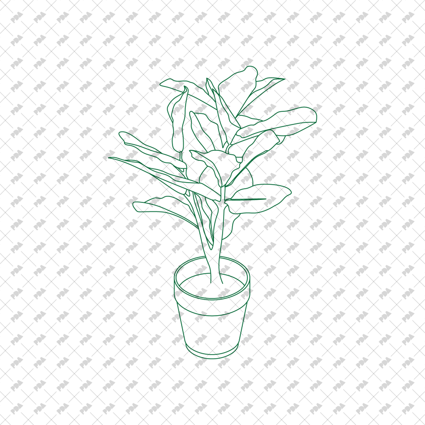 CAD, Vector Isometric Leafy Plants in Planters