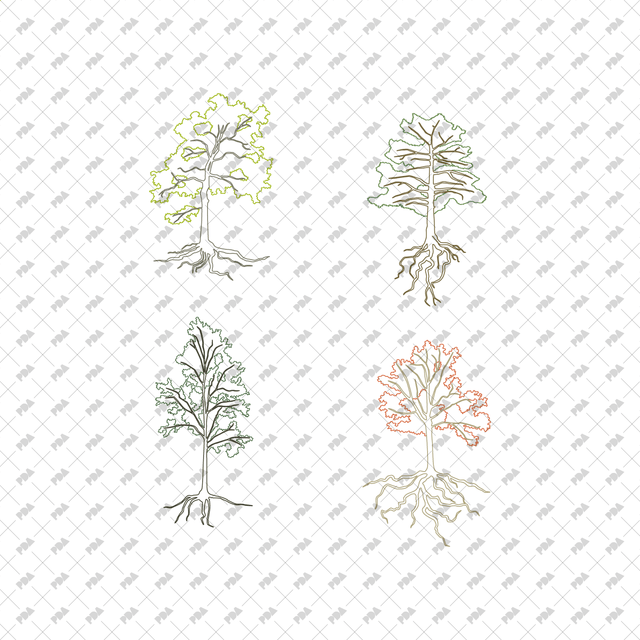 CAD, Vector Trees with Roots in Color and B/W - Post Digital Architecture — Free and Affordable Resources for Architects