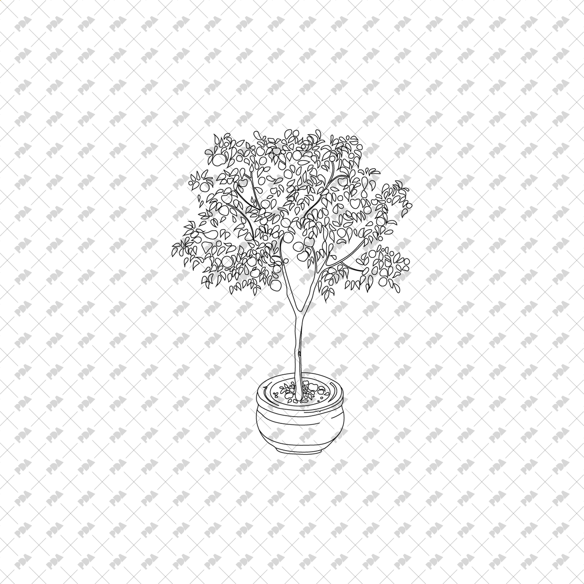 Planter Tree Pattern CAD, Vector, PNG Isometric Trees in Planters