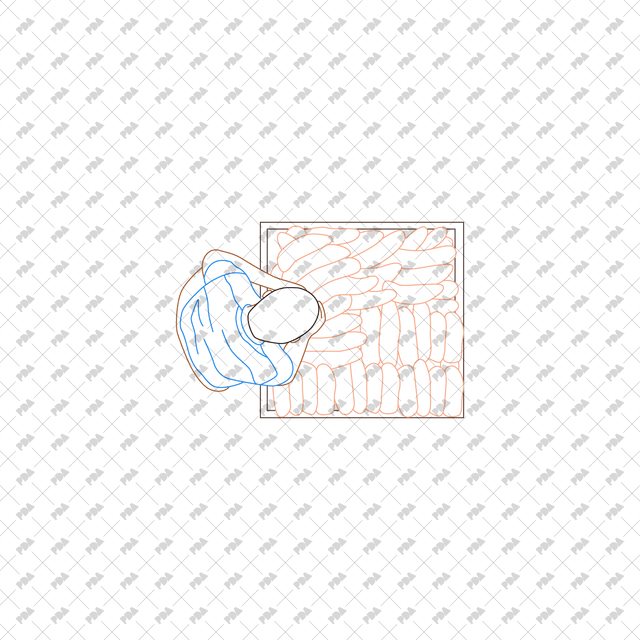 CAD, Vector, PNG Market and Supermarket in Color and B/W (Top View) - Post Digital Architecture — Free and Affordable Resources for Architects