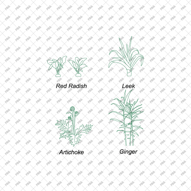 CAD Vector Vegetable Plants Multi-Pack - Post Digital Architecture — Free and Affordable Resources for Architects