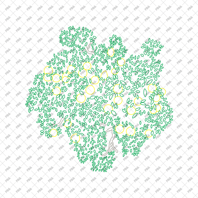 CAD, Vector, PNG Fruit Trees in Color and B/W (Top View) - Post Digital Architecture — Free and Affordable Resources for Architects