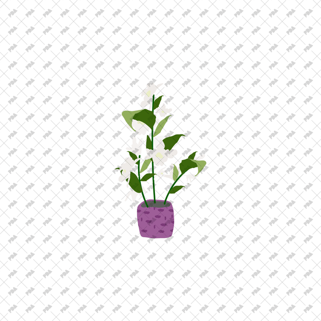 Vector, PNG Indoor Plants - Post Digital Architecture — Free and Affordable Resources for Architects