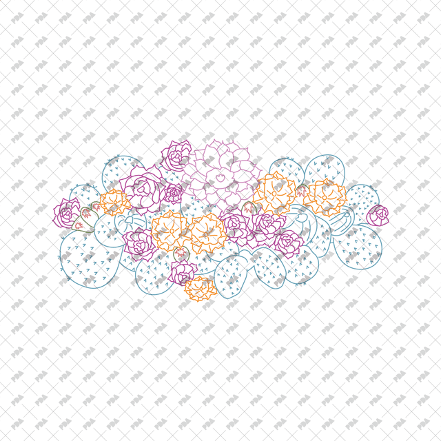 CAD, Vector, PNG Succulent and Cactus Landscapes in Top View in Color and B/W - Post Digital Architecture — Free and Affordable Resources for Architects